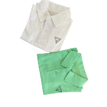 GUESS POLO