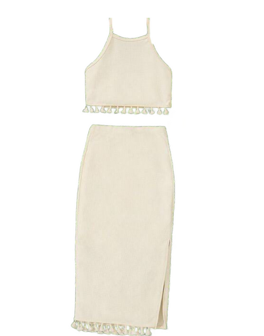 2PC.SKIRT SET